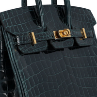 Hermès Birkin 25 - View 5