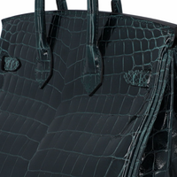 Hermès Birkin 25 - View 6