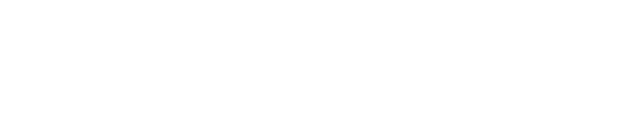 CollectorElysium